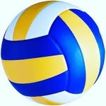 Volleyball Club Logo